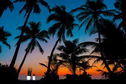 Tropical Vanilla Bliss